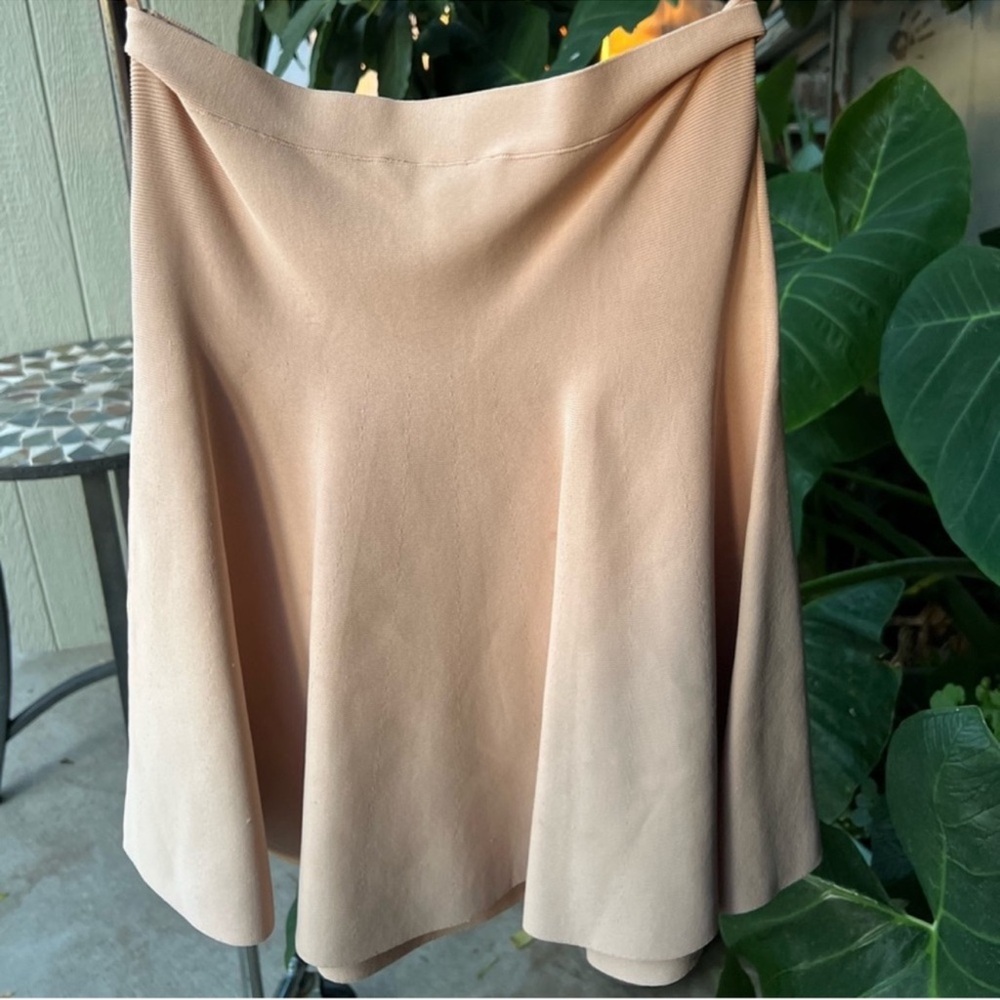 Bcbgmaxazria a-line skirt